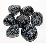 Tumbled Stone - Snowflake Obsidian